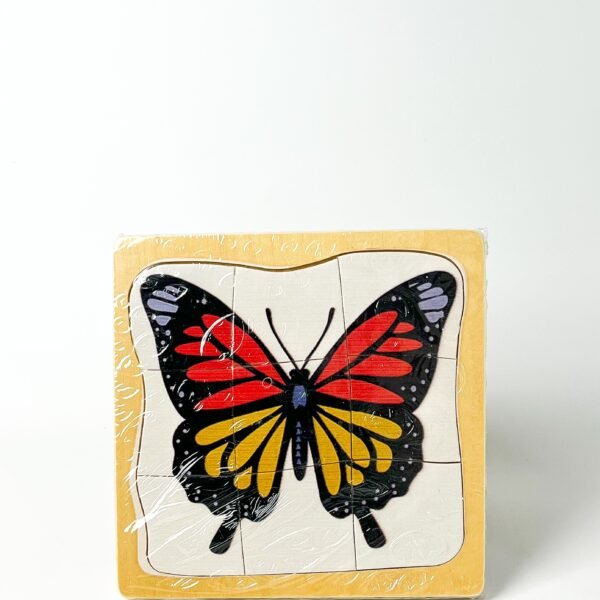 cycle de vie - papillon – Image 2